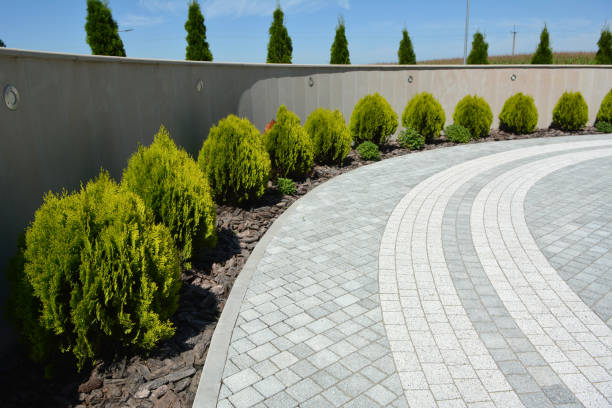 Reasons to Select Us for Your Driveway Paving Requirements in Artesia, NM